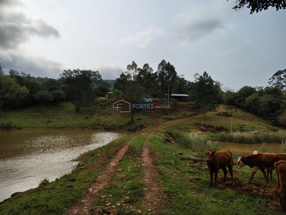 Fazenda/sítio/chácara/haras à venda  no Borrússia - Osório, RS. Imóveis