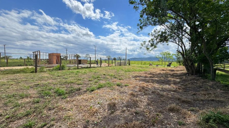 Terreno - Venda - Caconde - Os�rio - RS