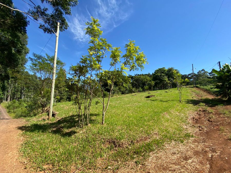 Terreno - Venda - Bor�ssia - Os�rio - RS