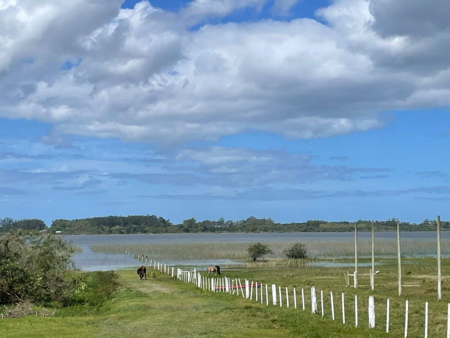 Terreno - Venda - Palmital - Osrio - RS