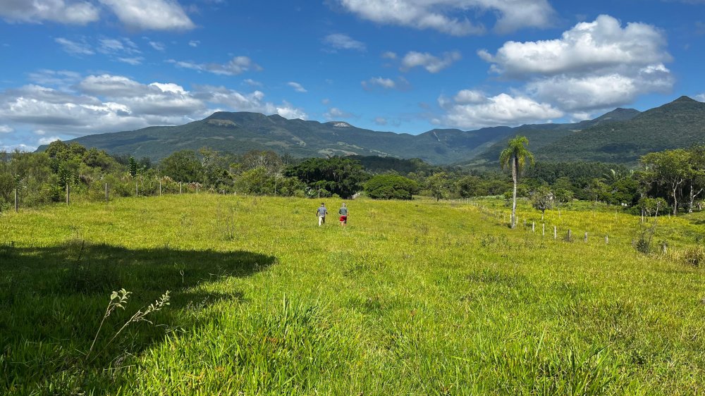 rea - Venda - Centro - Maquin - RS