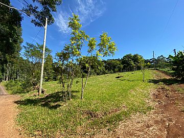 Fortes Im�veis Vende Terreno no Morro da Bor�ssia em Os�rio