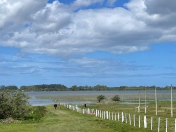 Fortes Imóveis Vende - Terreno no Palmital