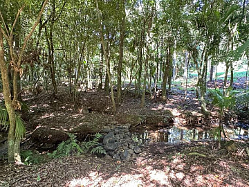 Fortes Im�veis Vende Ch�cara em Os�rio - RS